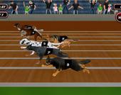 本物の犬のレースシミュレータゲーム2020