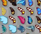 Schmetterlings-Kyodai-Klassiker